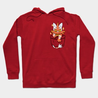 Pocket Shiny Flame Cat Hoodie